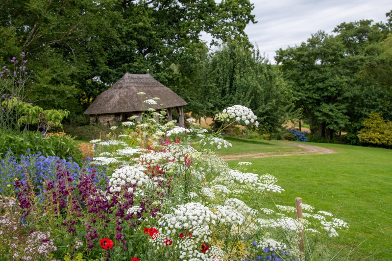 Burrow Farm Gardens